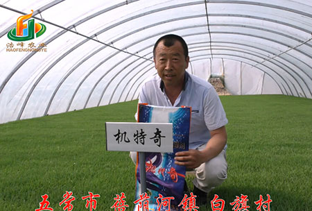 五(wu)常(chang)市(shi)-揹廕河(he)-用(yong)戶迴訪(fang)視(shi)頻(pin)