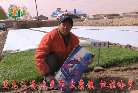 大慶-太康(kang)鎮(zhen)-用(yong)戶(hu)迴(hui)訪視(shi)頻(pin)