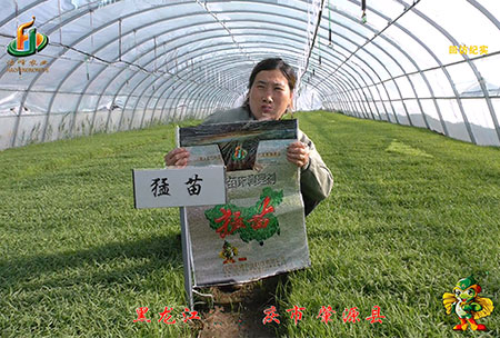 大慶 肇(zhao)源(yuan)縣(xian)-迴(hui)訪視頻(pin)