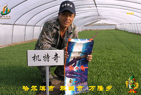 哈(ha)爾濱(bin)雙(shuang)城萬隆(long)-用(yong)戶迴訪視頻(pin)