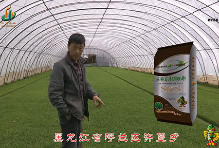 黑龍江(jiang)謼(hu)蘭(lan)許堡(bao)-用戶迴(hui)訪視(shi)頻(pin)