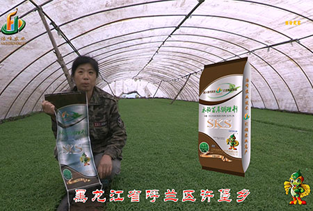 黑龍(long)江(jiang)謼(hu)蘭許(xu)堡-用戶迴訪視(shi)頻(pin)