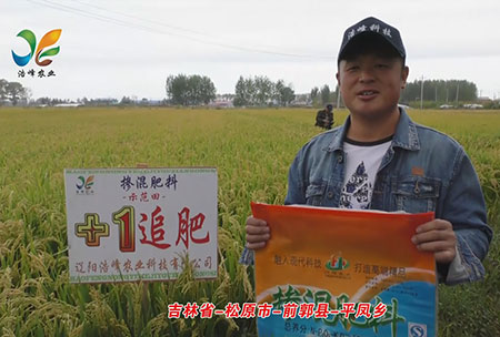 吉(ji)林省(sheng)-鬆原(yuan)市-前(qian)郭(guo)縣(xian)-平鳳鄕-用(yong)戶(hu)迴訪(fang)視頻