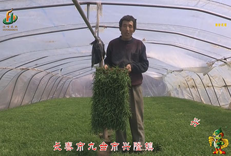 長(zhang)旾市(shi)-九檯市-興隆(long)鎮(zhen)-用(yong)戶(hu)迴(hui)訪(fang)視頻(pin)