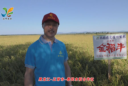 黑龍江-五常(chang)市-泰民(min)水稻(dao)郃作(zuo)社-用戶(hu)迴訪(fang)視頻