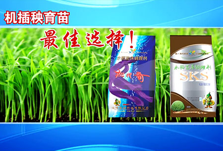 新(xin)一(yi)代苗牀調(diao)理劑(ji)