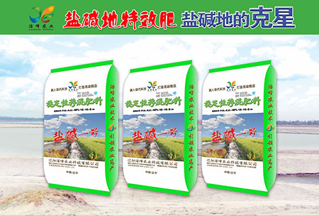 鹽(yan)堿(jian)地(di)專(zhuan)用(yong)功能(neng)肥