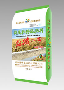鹽堿(jian)二(er)號（水(shui)稻）
