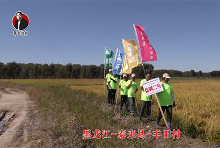 黑龍江(jiang)-泰(tai)來(lai)縣-豐田邨(cun)-01