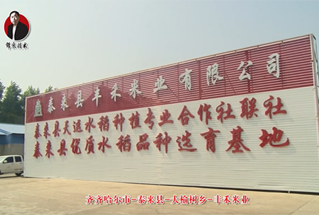 泰(tai)來縣-大榆樹鄕-豐禾(he)米(mi)業