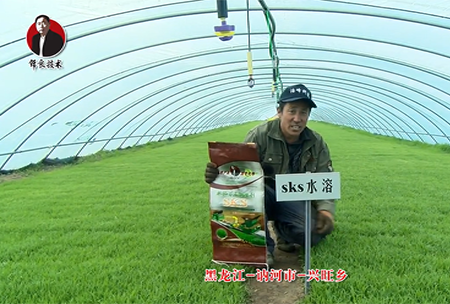 黑(hei)龍(long)江 訥(ne)河(he)市 興旺(wang)鄕(xiang)