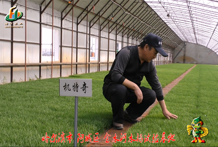 哈爾(er)濱(bin)金水河(he)基(ji)地(di)0