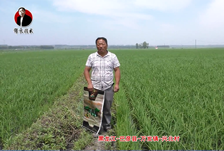 巴彥縣(xian)-萬髮(fa)鎮-興北(bei)邨(cun)